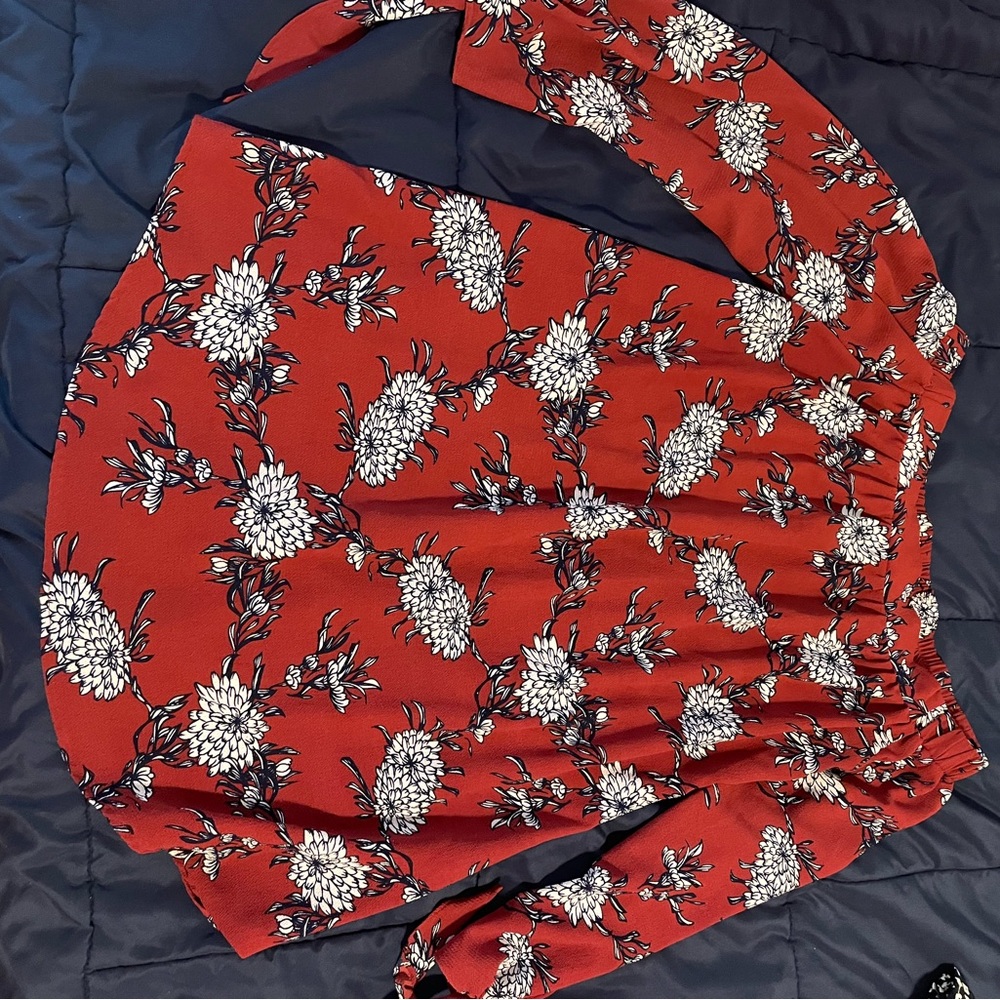 Charlotte Russe Red Floral Mini Dress